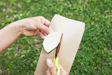 外遊びアイディア　折り紙のコノハチョウの作り方