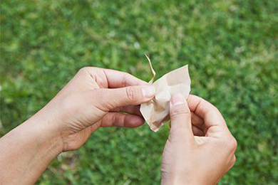 外遊びアイディア　折り紙のコノハチョウの作り方