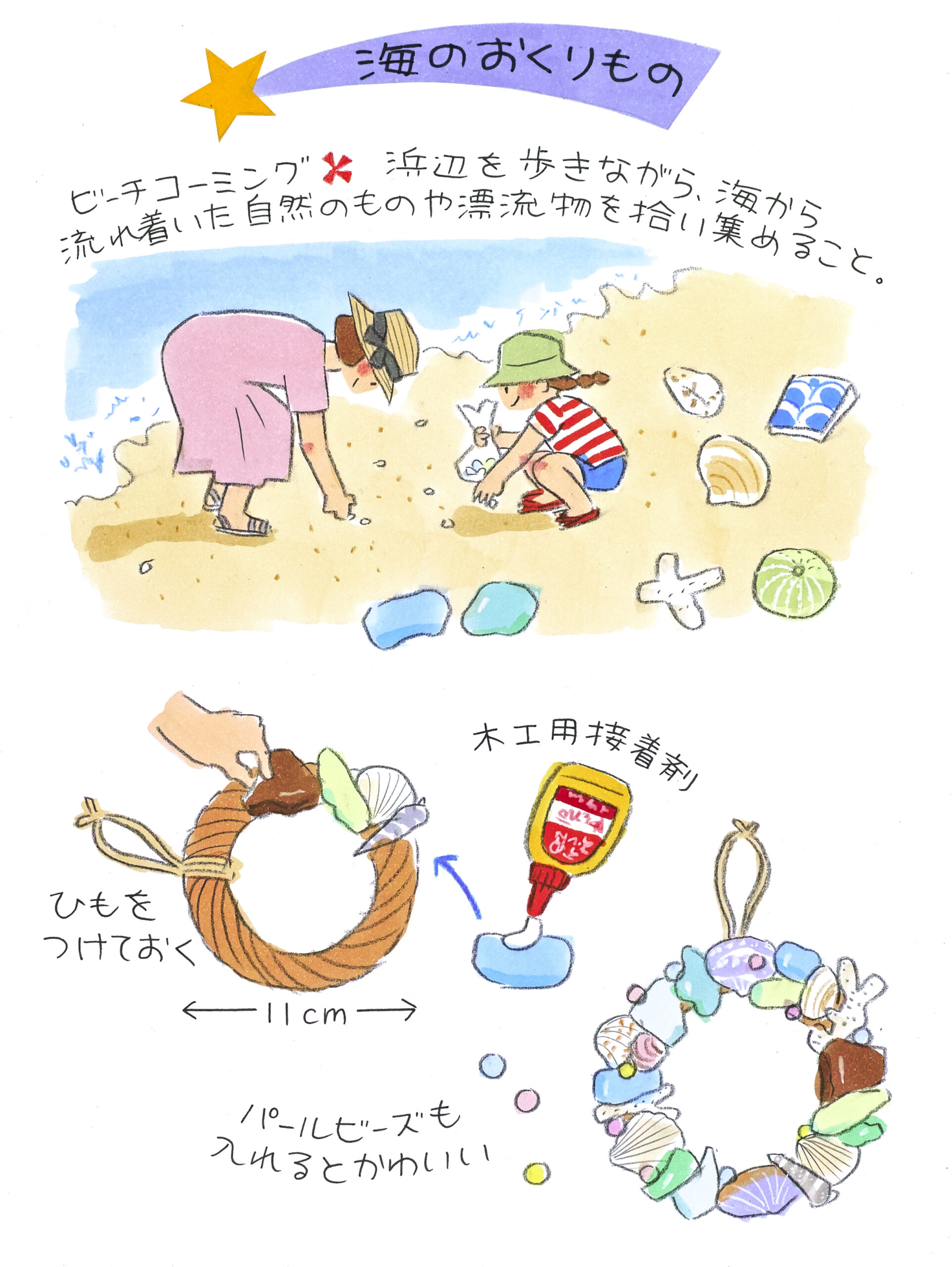 海の貝殻工作