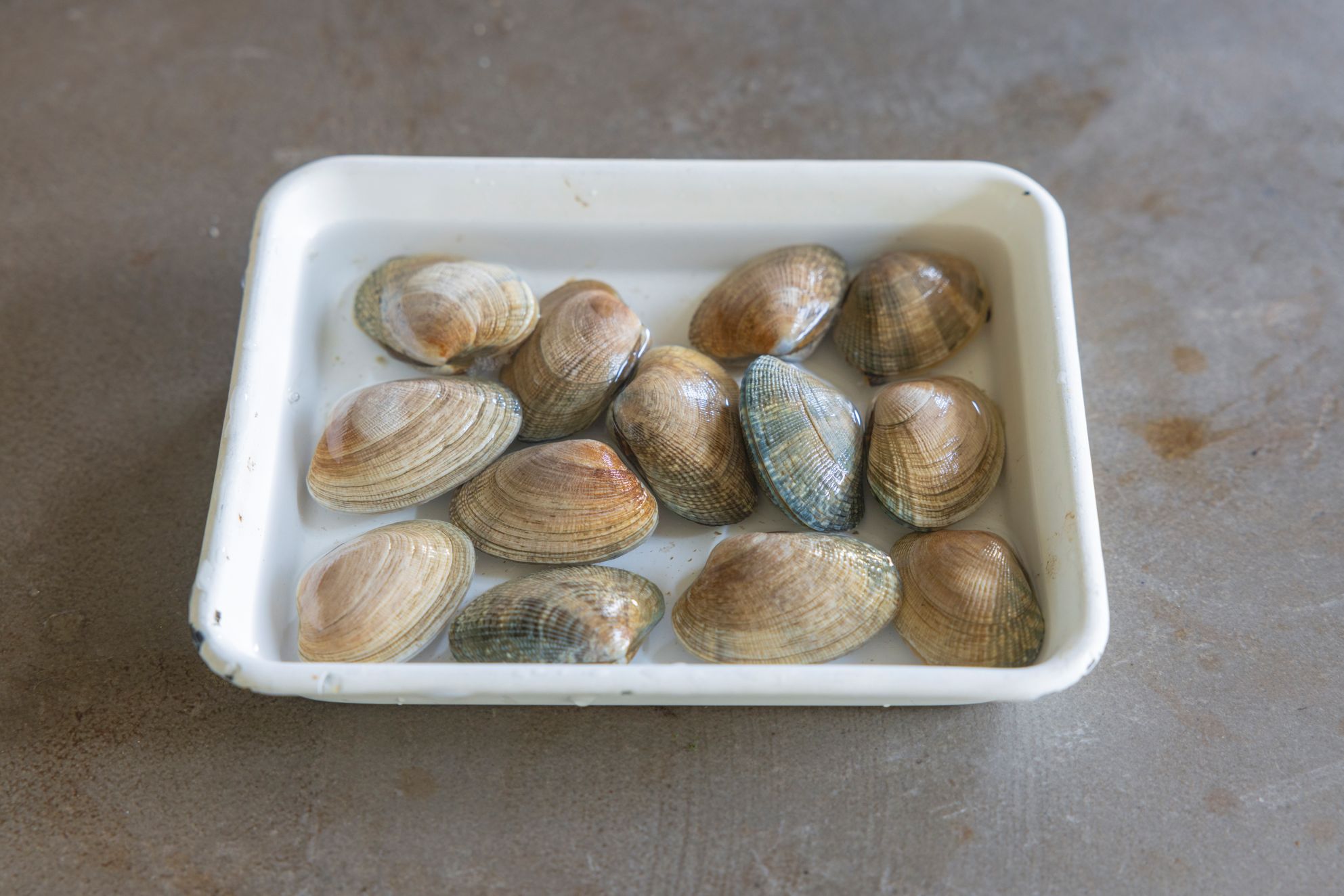 あさりの塩抜き